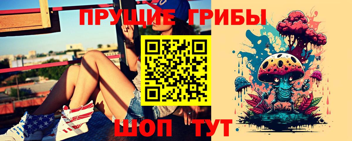 Псилоцибиновые грибы MAGIC MUSHROOMS  Галлюциногенные грибы Cubensis  Похвистнево  где купить наркоту  Вход с VPN 